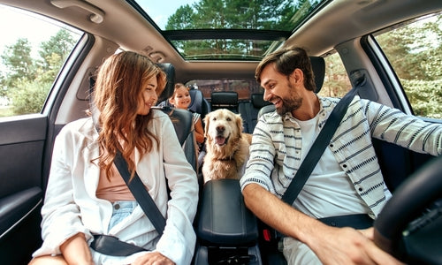 Healthy Holiday Travel Tips