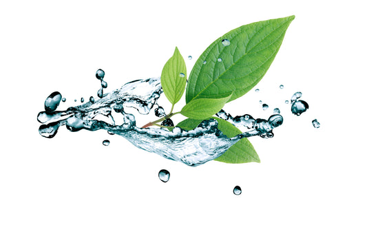 Minerals For Hydration: A Solution For Better Sleep, Digestion and Energy!