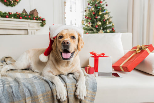 Happy holidays from our family to yours