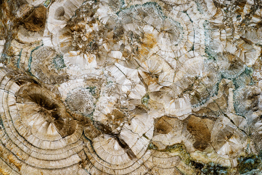 How Important are Minerals to Us? Are We Getting What We Need?